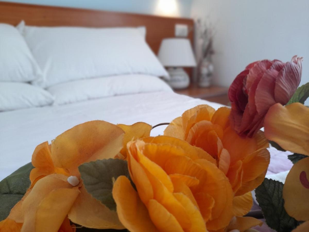 آنسيو Casa Vacanze Elianto المظهر الخارجي الصورة