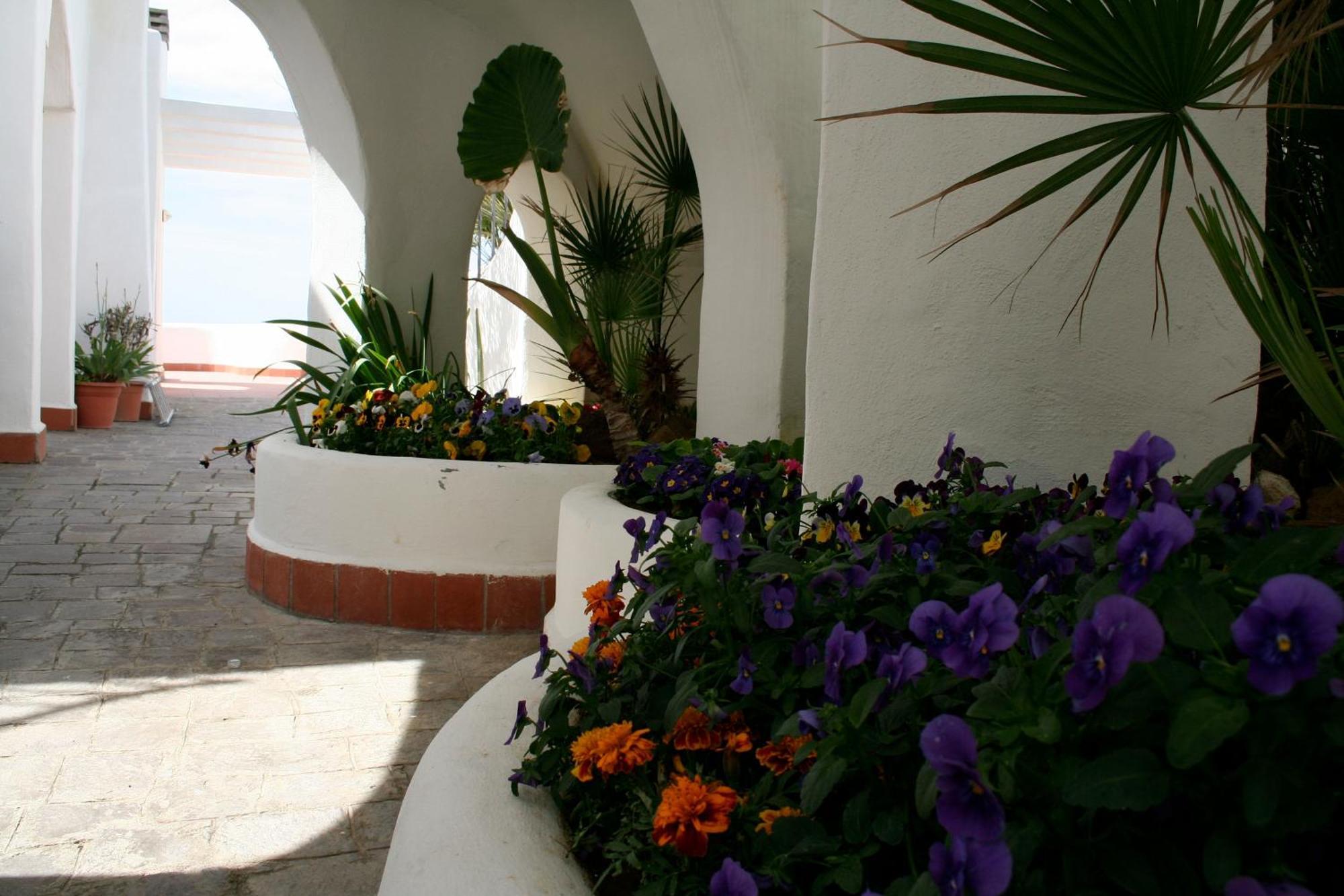 آنسيو Casa Vacanze Elianto المظهر الخارجي الصورة